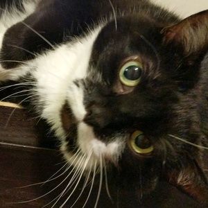 Meet your Posher, Lauren